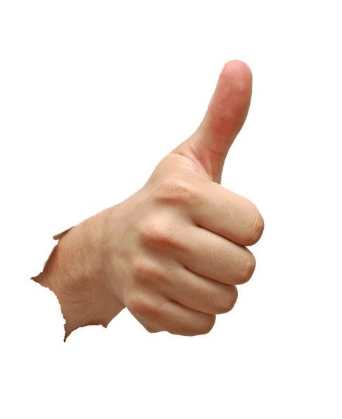 pngwing.com-7